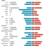minority-votes-1
